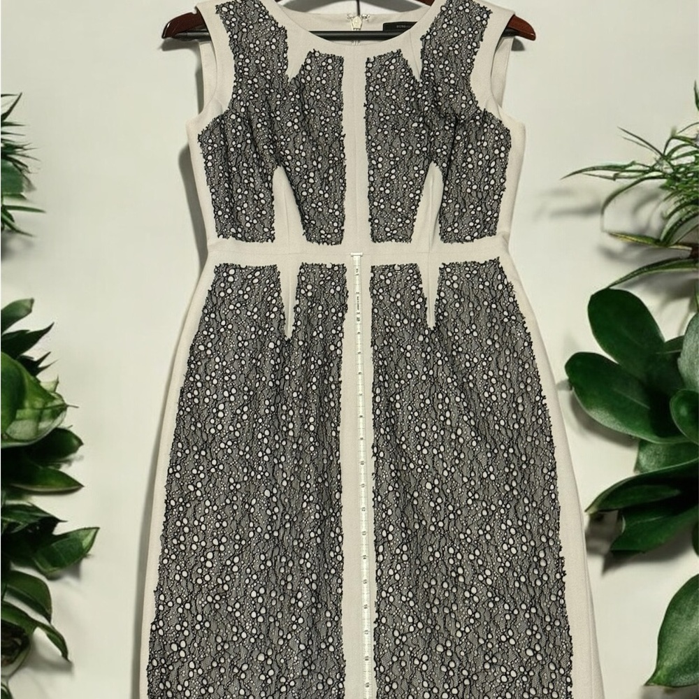 BCBGMaxAzria White and Black Lace Overlay Dress - Picture 4 of 6